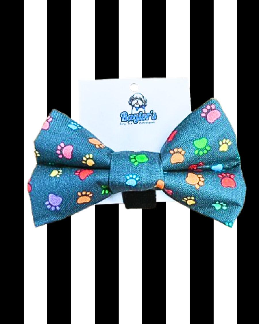 colorful paw prints dog bow tie rainbow bright colors