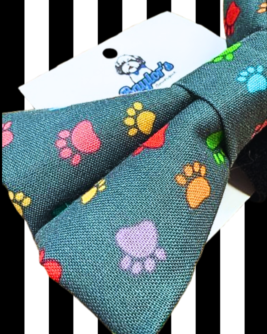 colorful paw prints dog bow tie close-up rainbow pride