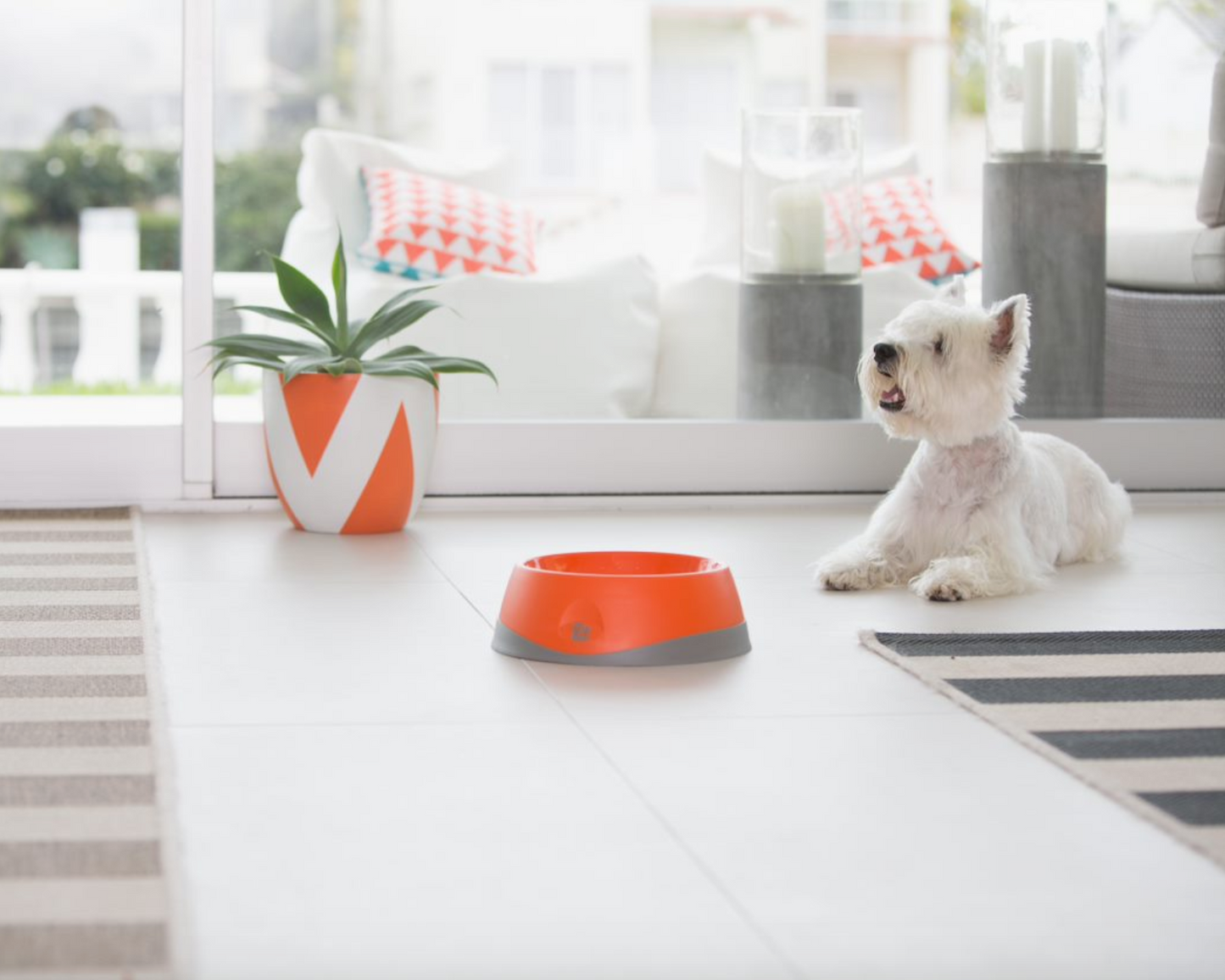 lickimat oh bowl slow feeder textured bowl good for dog small