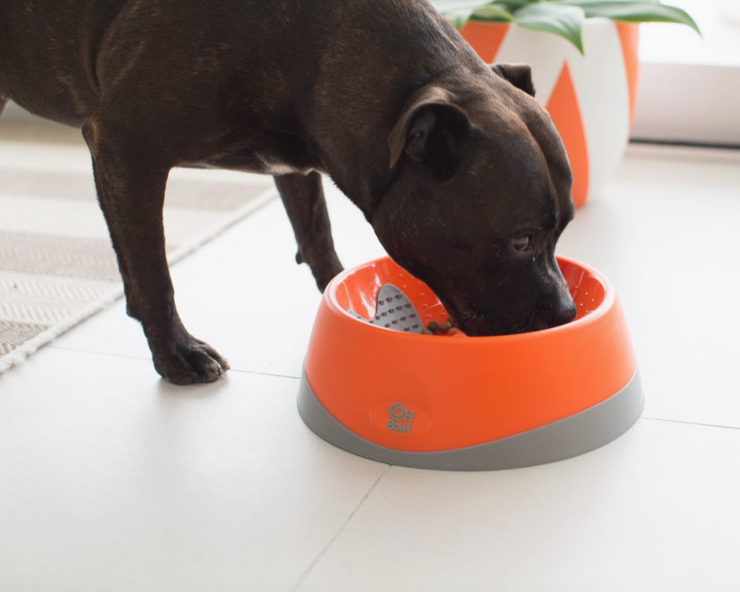 lickimat oh bowl slow feeder textured bowl good for your dog large