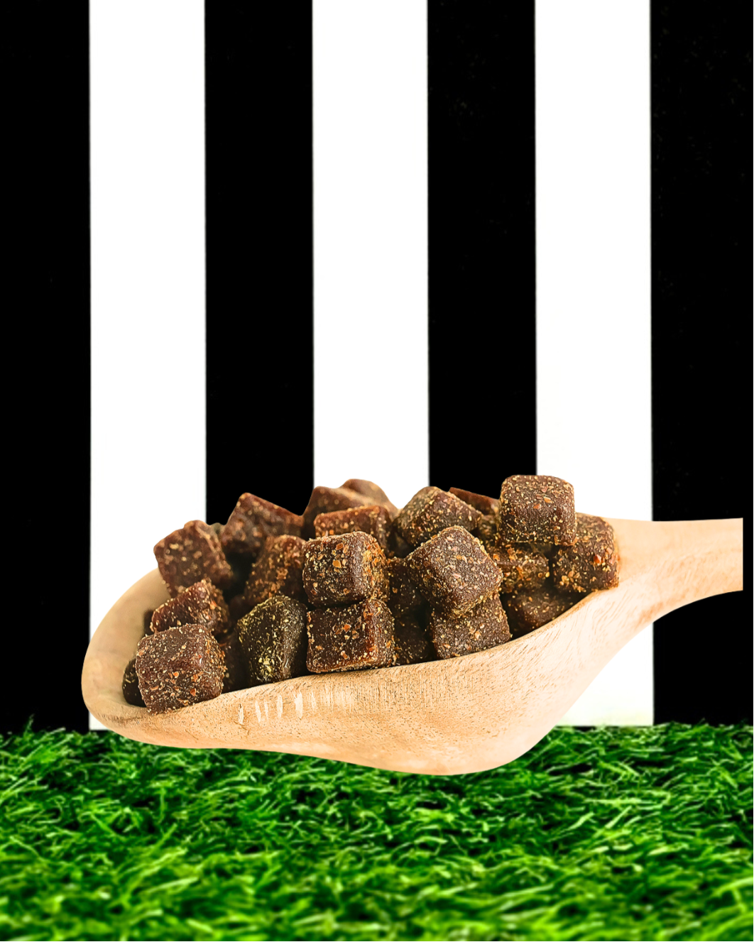 petipet plant based human grade organic fruit veggie dog treat close-up
