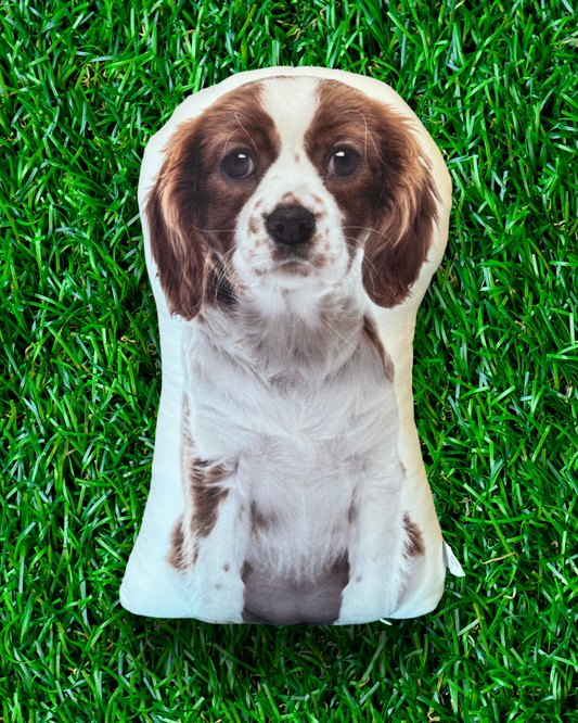 Cocker Spaniel Puppy Dog Pillow