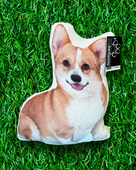 Corgi Dog Pillow Couch Bed Throw Pillows Chair Unique 