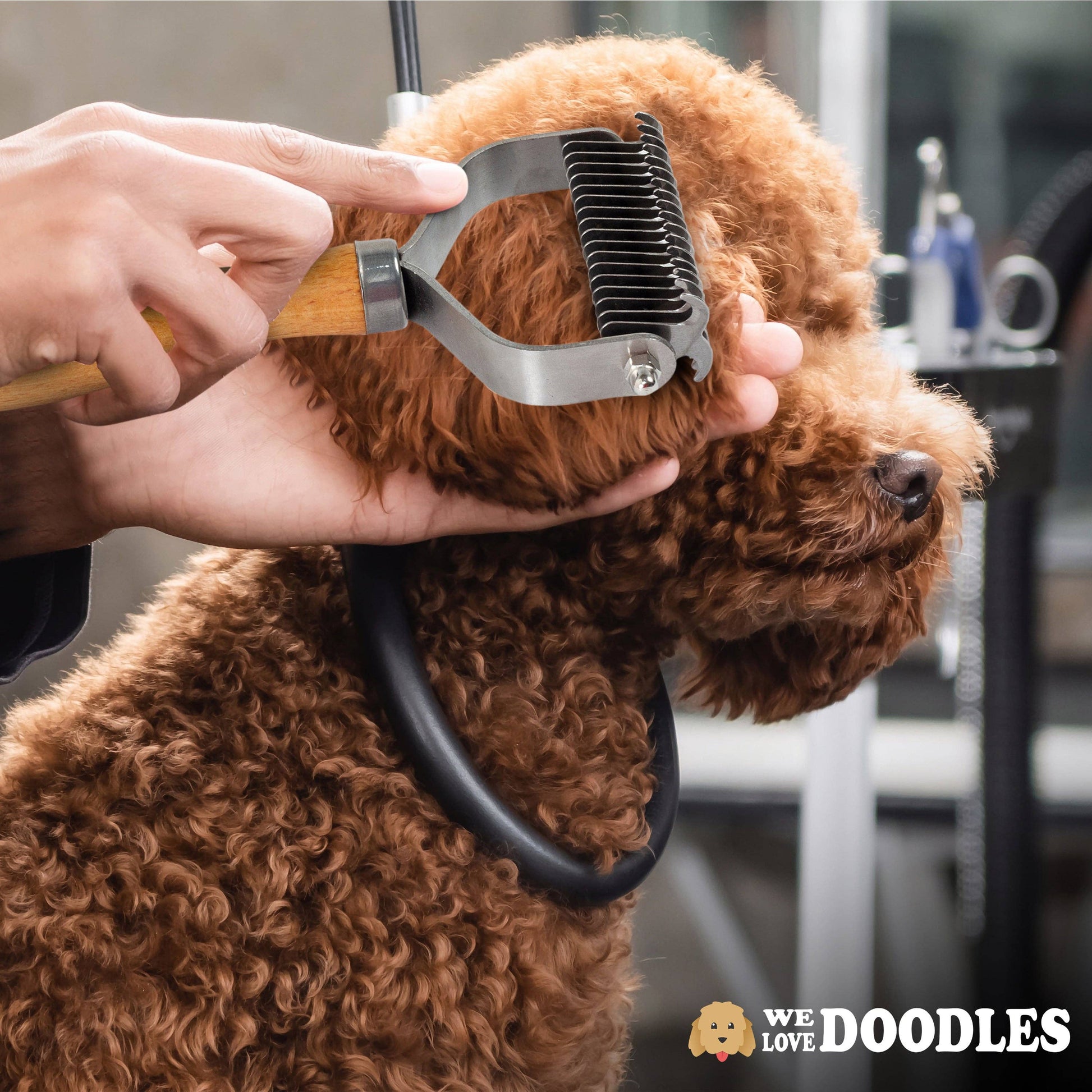 Dematting Tool Dematting Brush Doodles Dogs Detangling Dog Hair Doodle