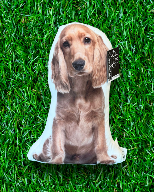 English Cocker Spaniel Dog Pillow Cute dog pillows sofa bed couch throw pillow