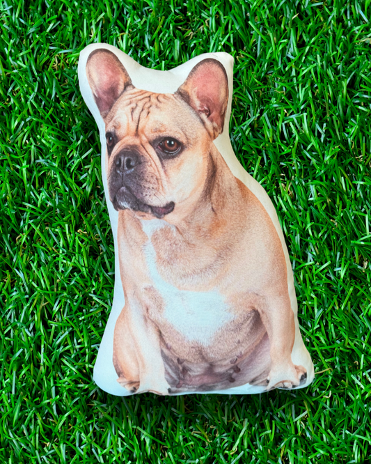 French bulldog throw pillow. Unique dogs pillows for home decor.