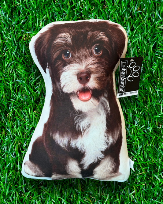 Havanese Dog Fluffy Soft Cute Dogs Throw Pillow Bed Sofa Couch Chair