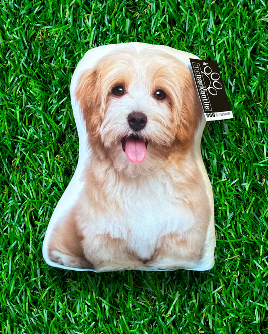 Havanese Dog Pillow