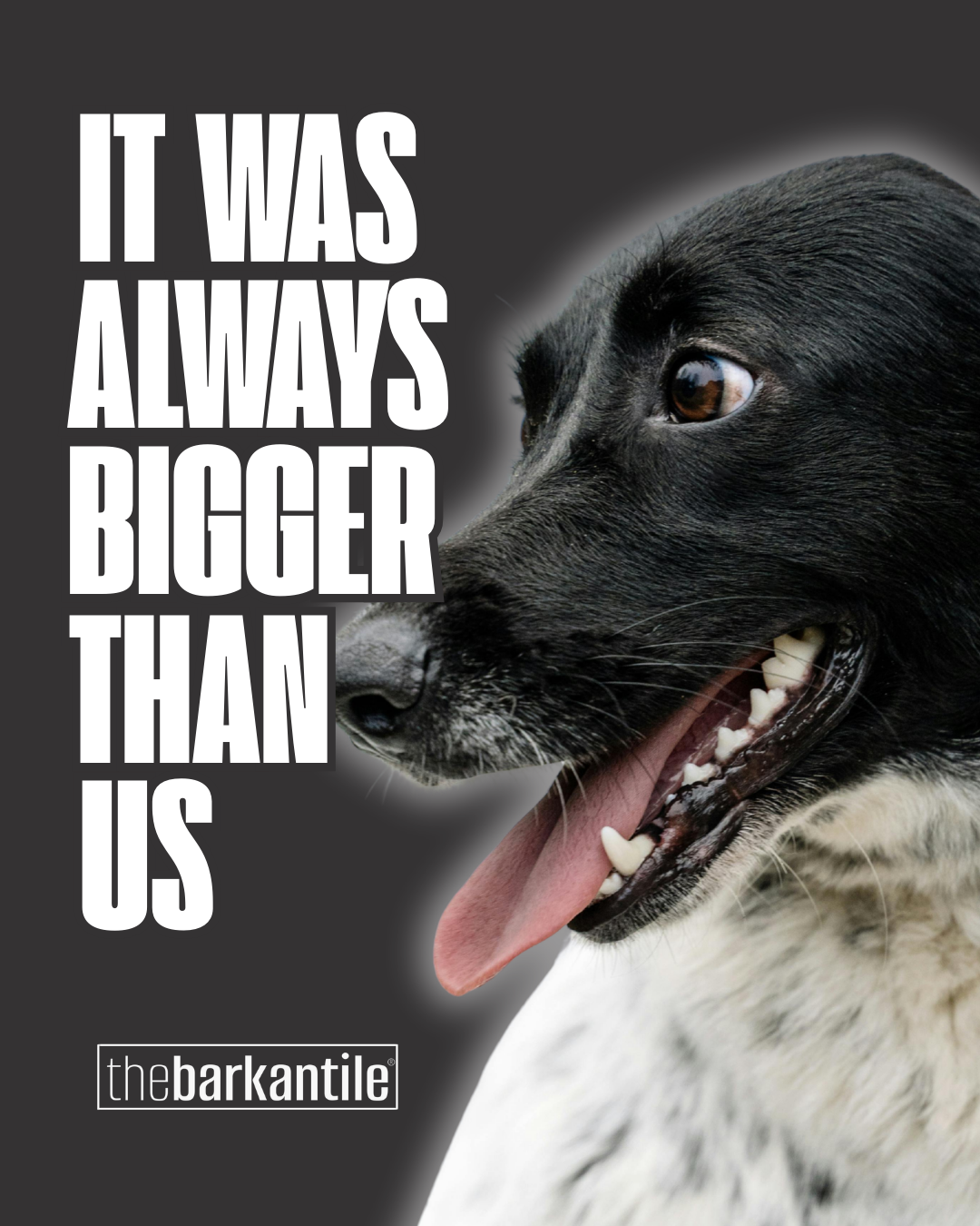Dog with a quote 'It was always bigger than us' and brand 'the barkantile' on a dark background