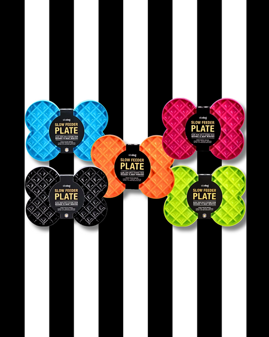 lickimat slow feeder plate blue orange pink green black
