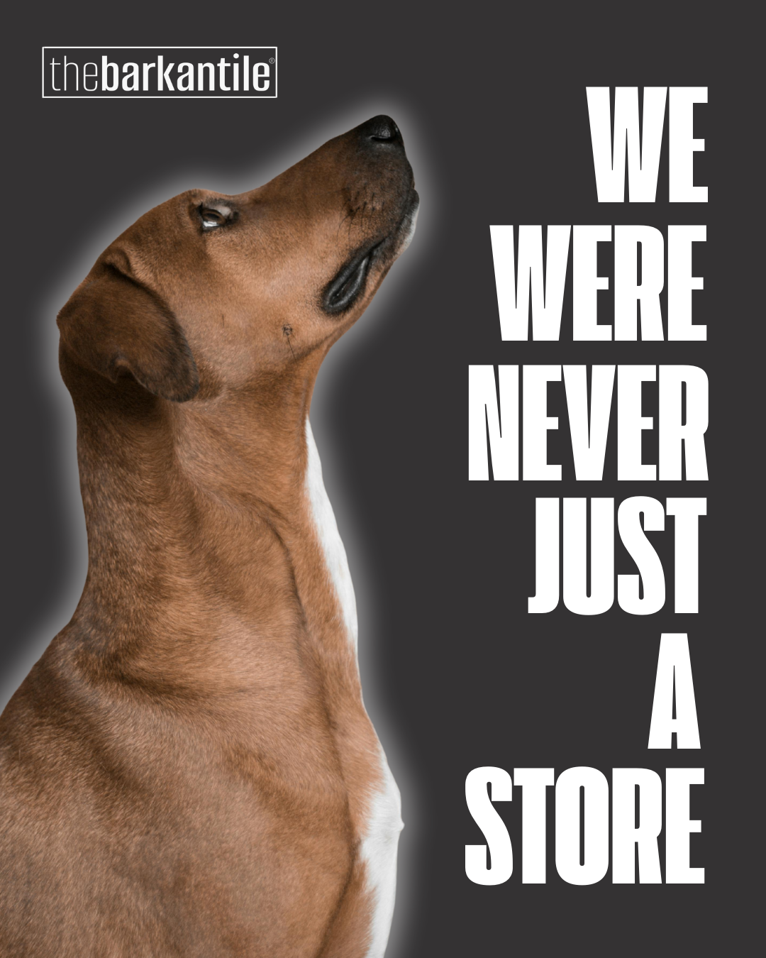Dog with text 'We were never just a store' and brand logo on a dark background