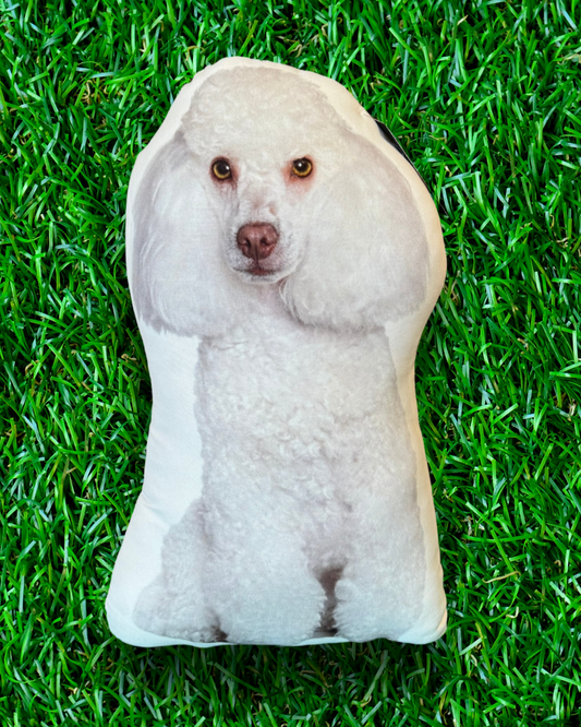 Mini Poodle Puppy Dog Dog Pillow Throw Pillows for Bed Couch Sofa Chair