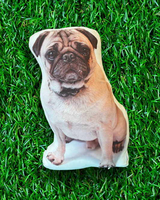 Pug Dog pillow throw pillows with dogs cute unique dog decor