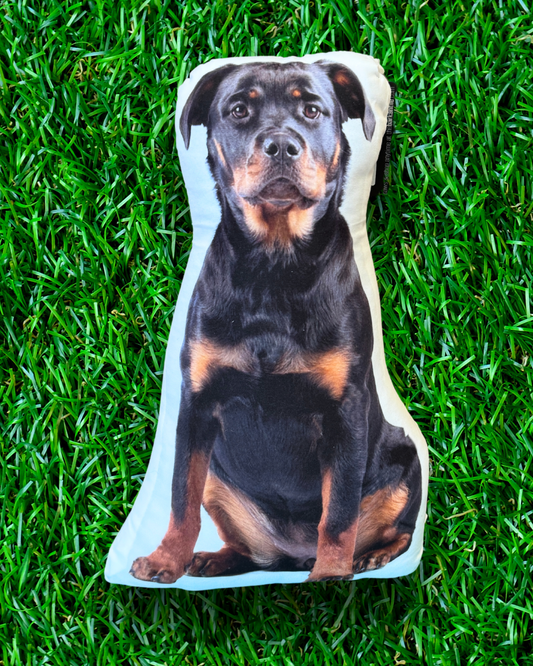 Rottweiler Dog Pillow