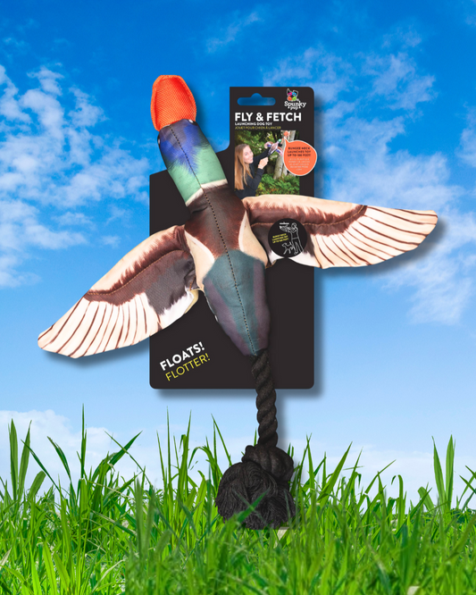 spunky pup fly and fetch launching dog toy duck