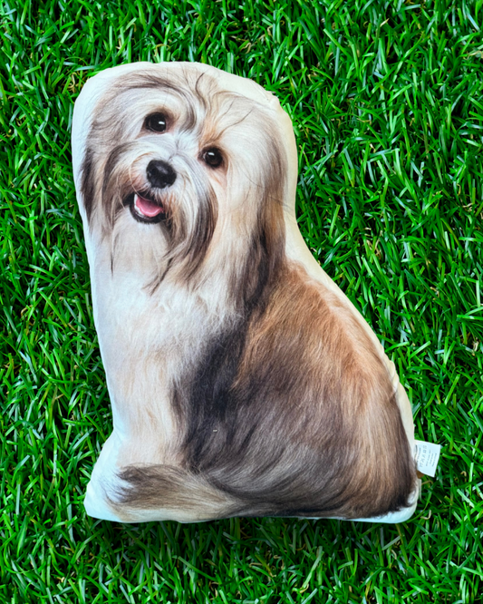 Tibetan Terrier Shitzu Dog Throw Pillow Cute Unique Dogs Pillows