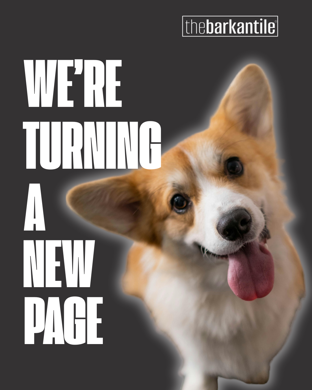 Corgi dog with text 'We're turning a new page' and 'the barkantile' logo on a black background